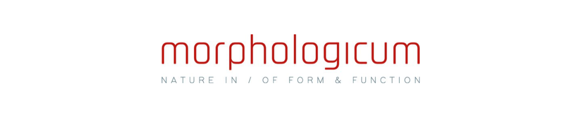 Morphologicum logo