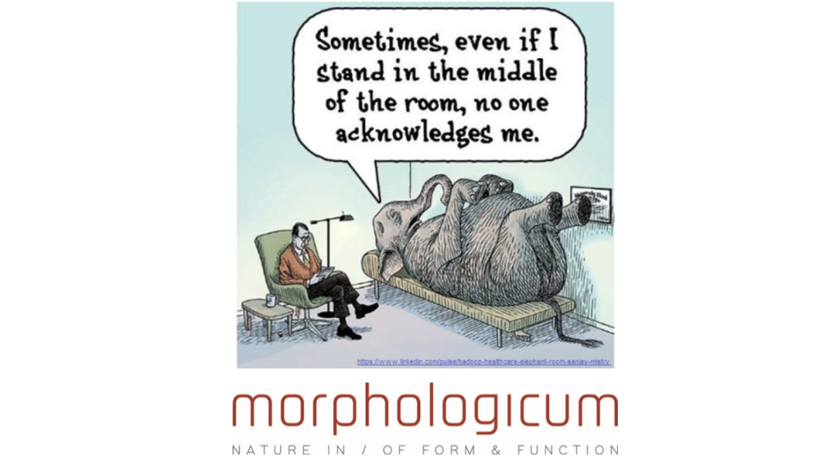 Sometimes, even if I stand in the middle of the room, no one acknowledges me.
