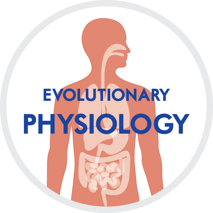 Afbeelding Evolutionaire Fysiologie