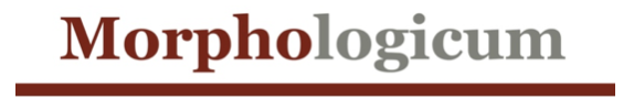 Morphologicum