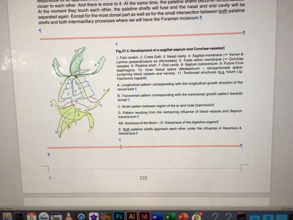 Digitalisation des dessins Life as a verb