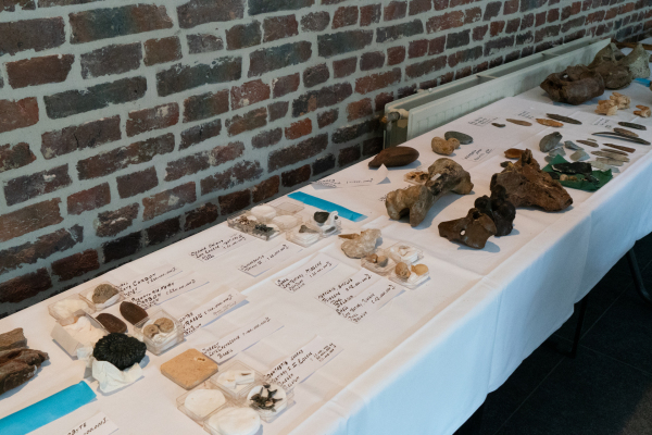 Evolutionary Osteopathy in Maaseik 2018