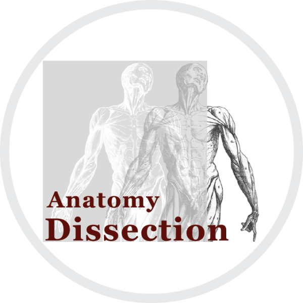 Anatomy Dissection main image