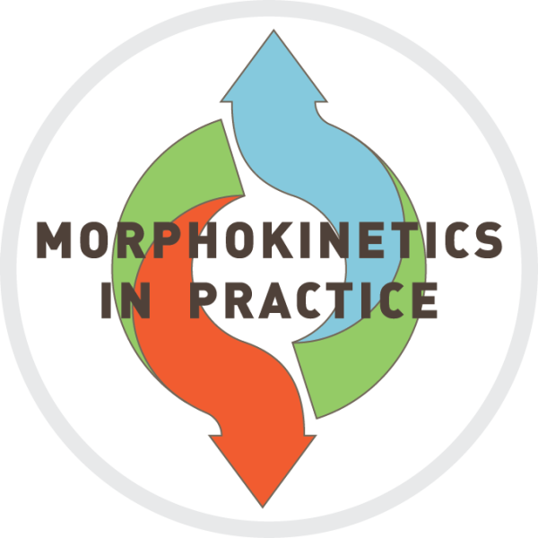 Morphokinesis in Praxis main image